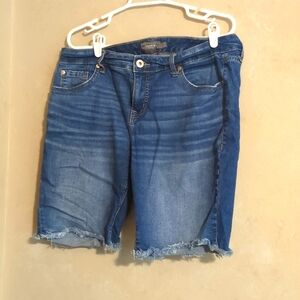 Torrid shorts blue jean shorts size 14